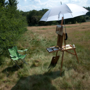 about Mark Taylor painter and illustrator