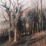 golden hour morning light