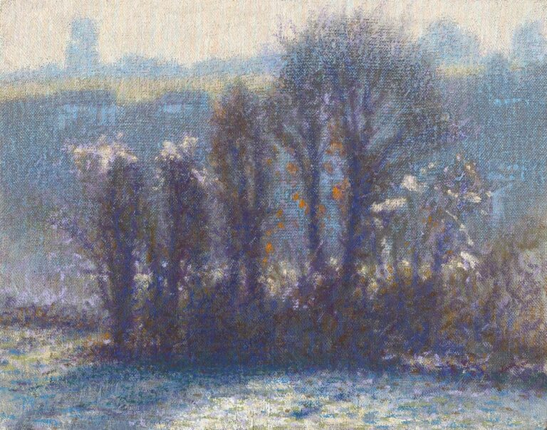Frosty landscape Chorleywood common