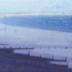 Selsey Bill last light oil painting