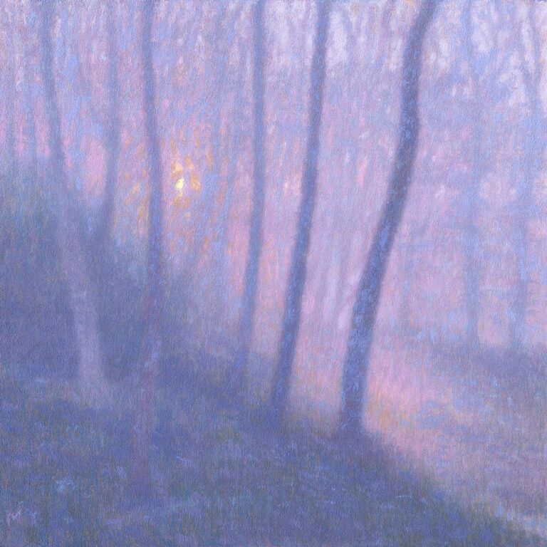 Winter evening Chorleywood Common